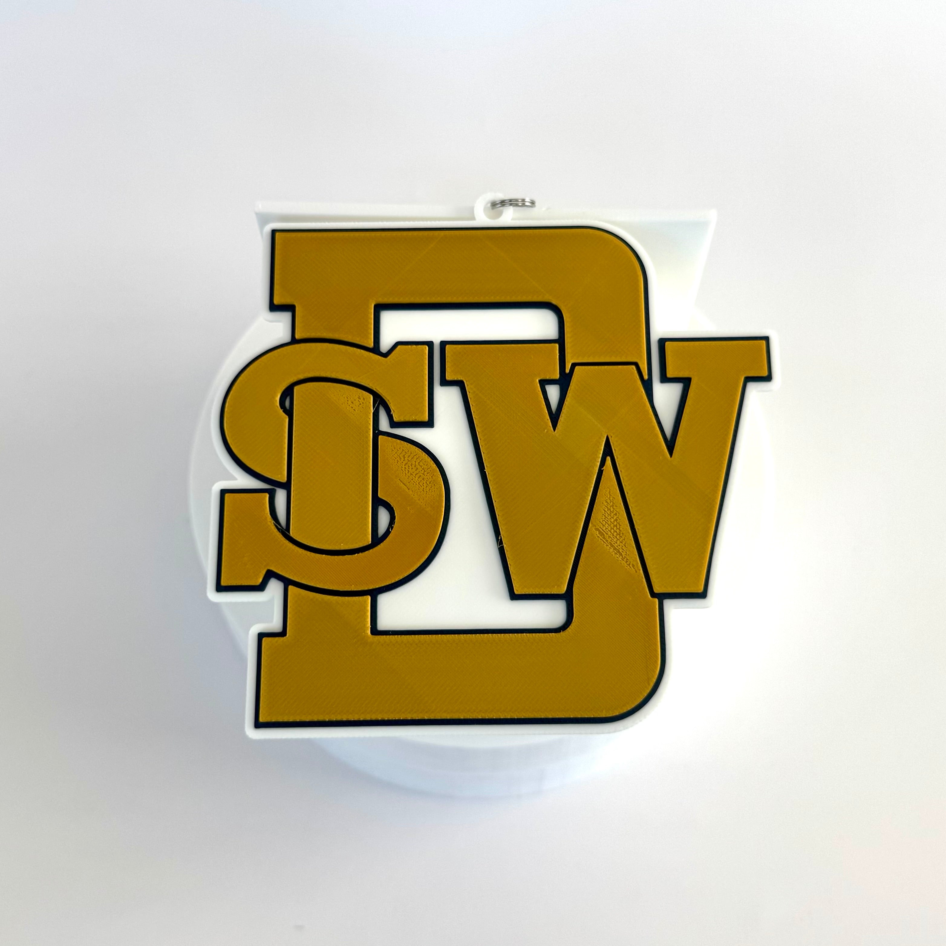 Southwest DeKalb Panthers | Bubble Chain Pendant