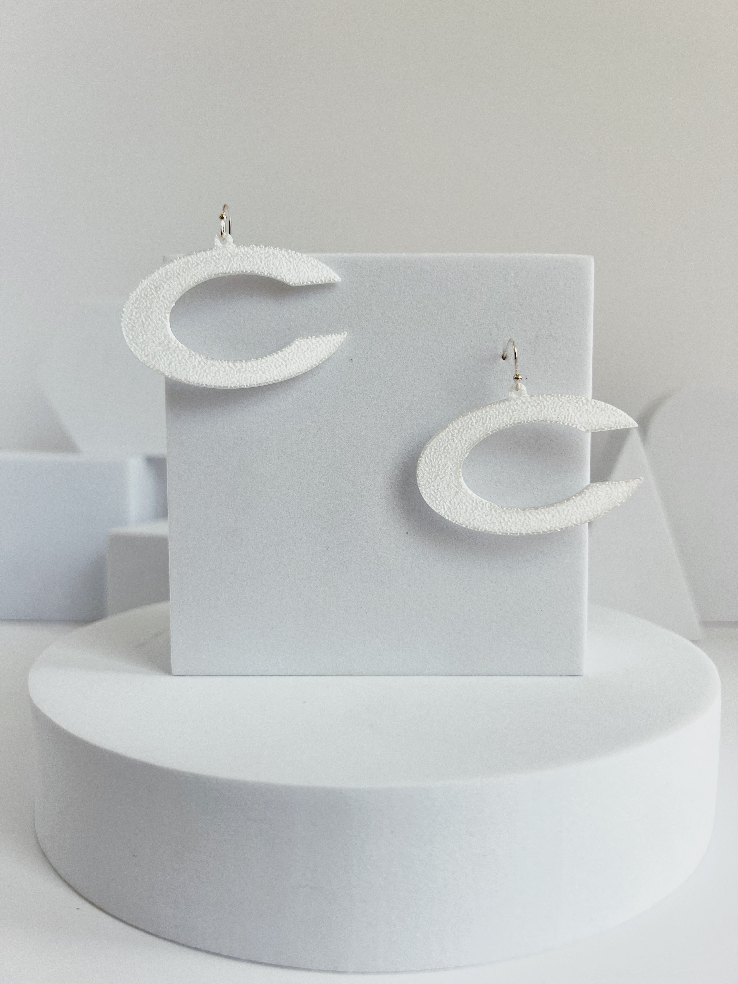 Chestatee War Eagles C earrings